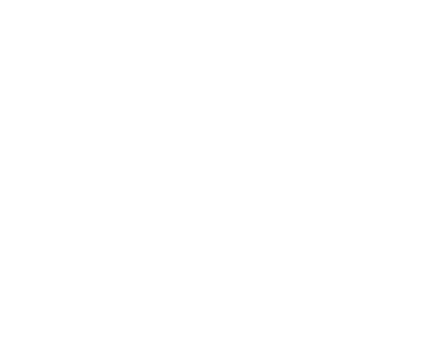 BSI Logo White